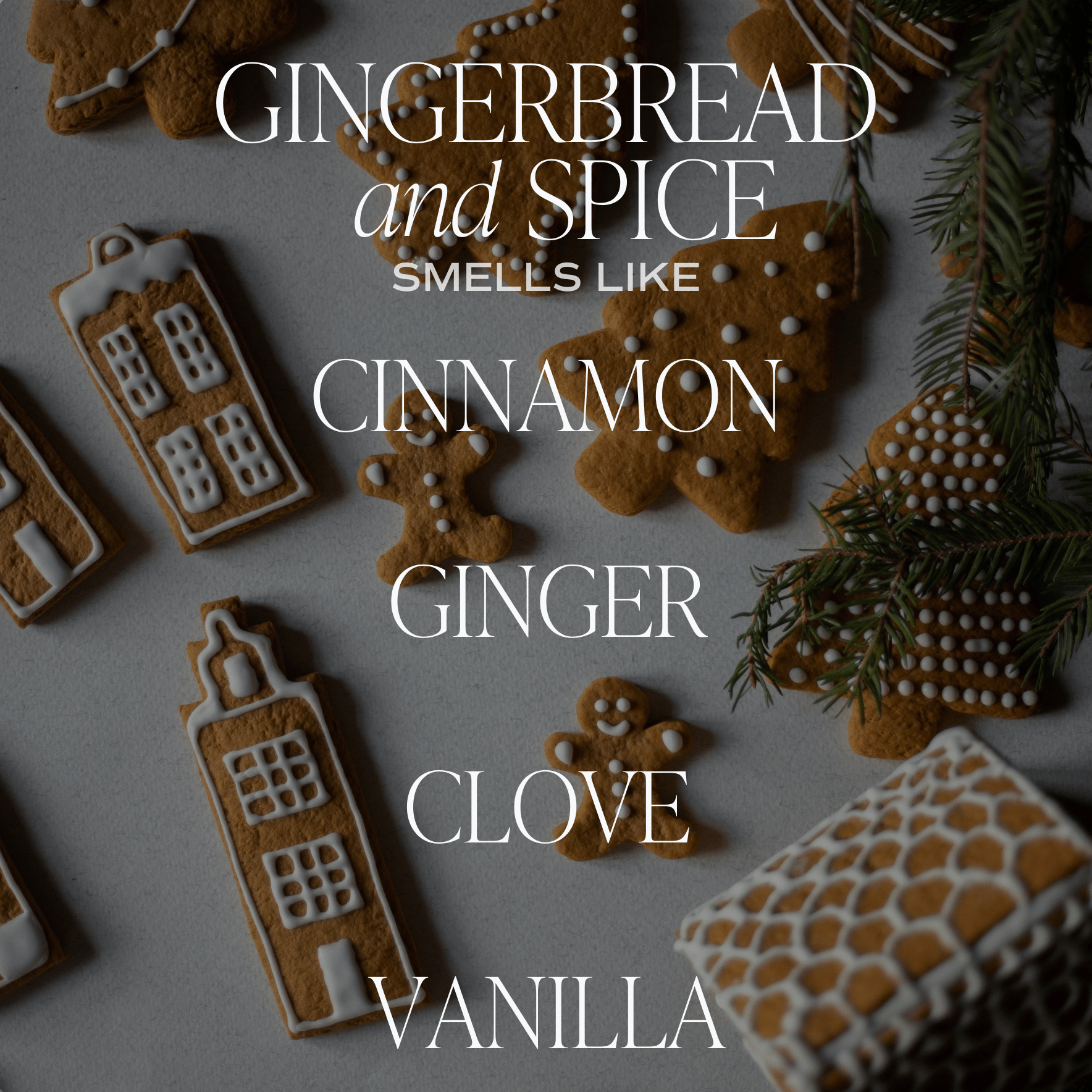 Gingerbread & Spice White Jar Candle