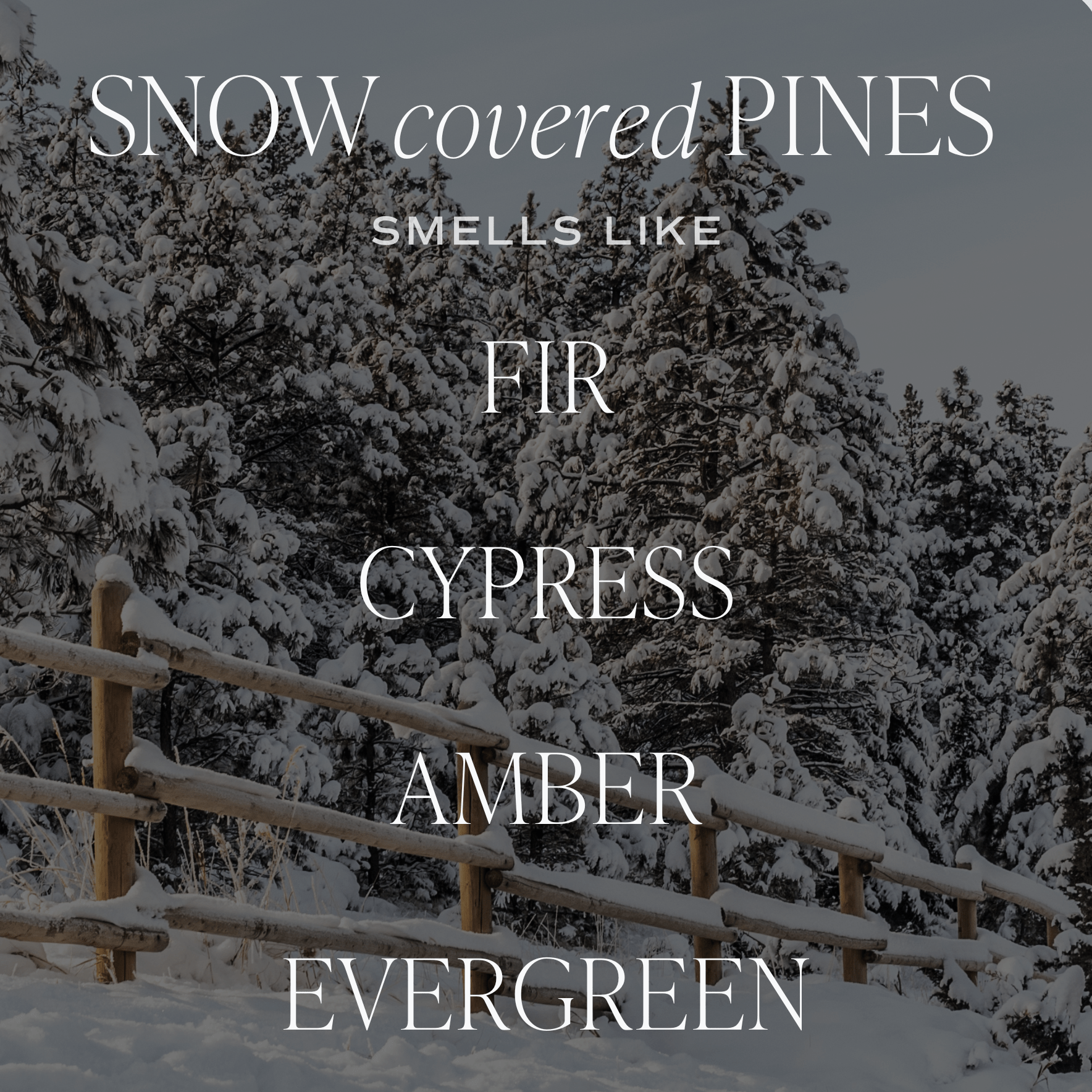 Snow Covered Pines Green Matte Jar Candle