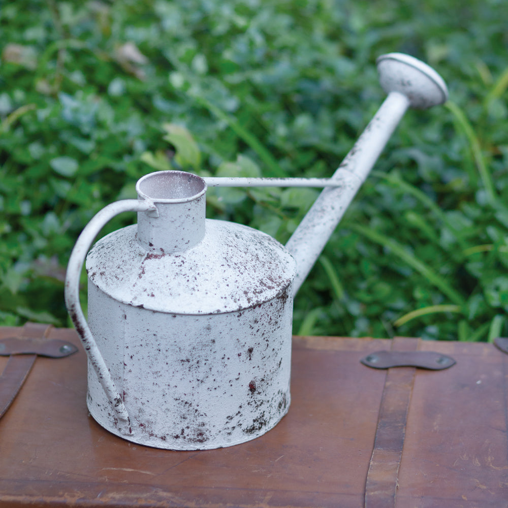 Watering Can 88 oz (1 orders l), Vintage Water Can, Watering Can Wedding, Garden Watering Can, Vintage Garden - PINK ROSES