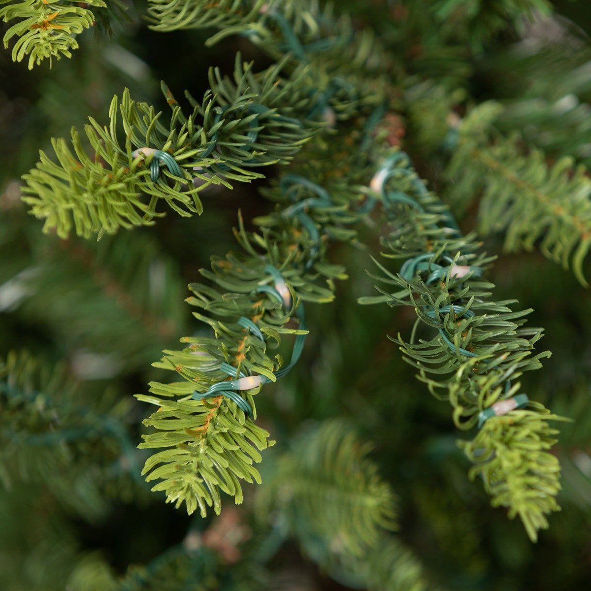 5' Great Northern Spruce Christmas Tree with Micro LED Lights - A Cottage in the City