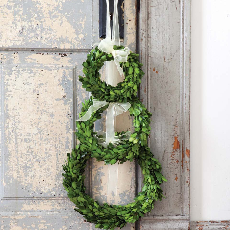 Preserved Boxwood Wreaths with Ivory Ribbon Set