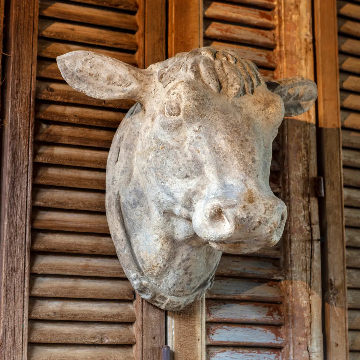 Decorative Weathered Cow&#39;s Head