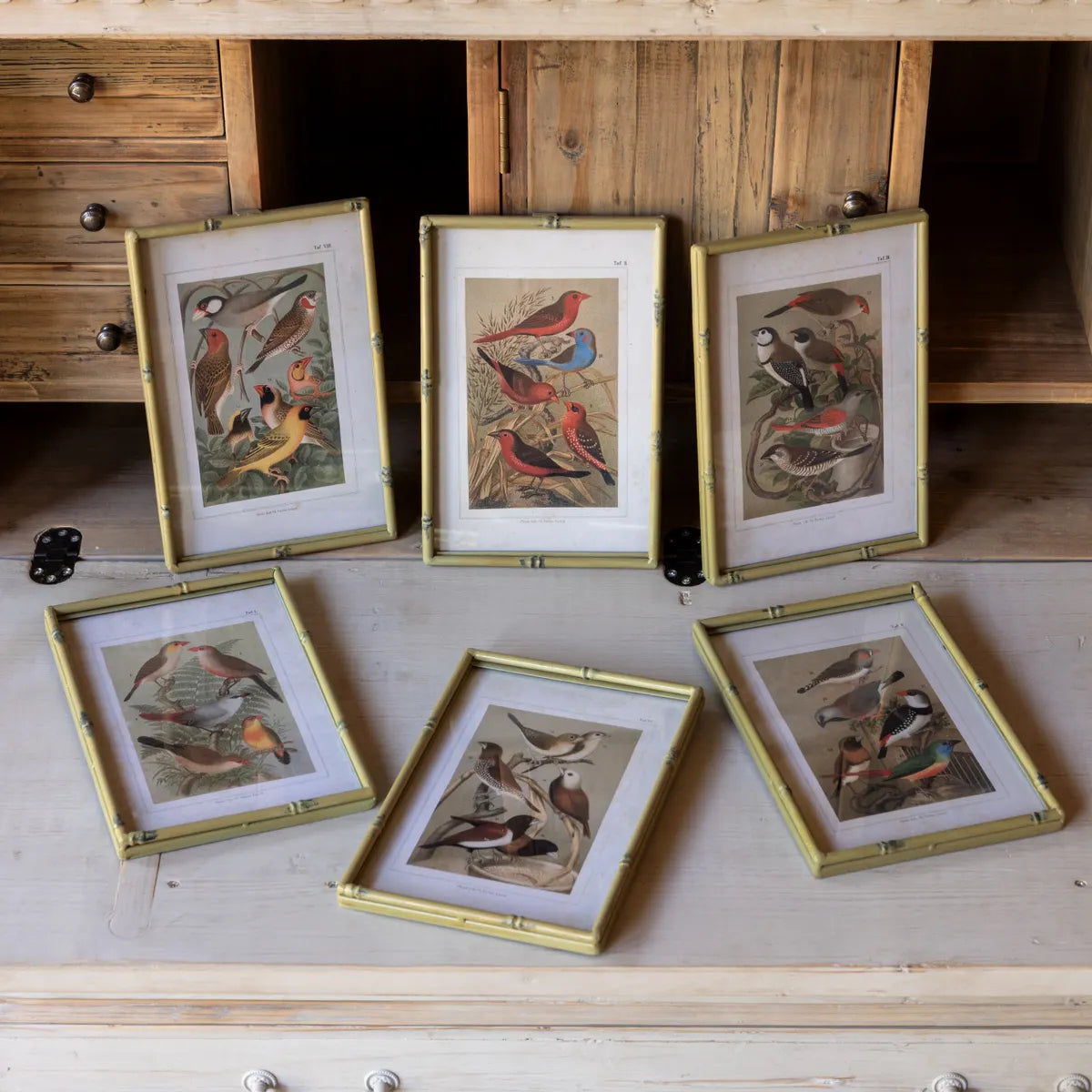 Faux Bamboo Framed Song Bird Prints Set