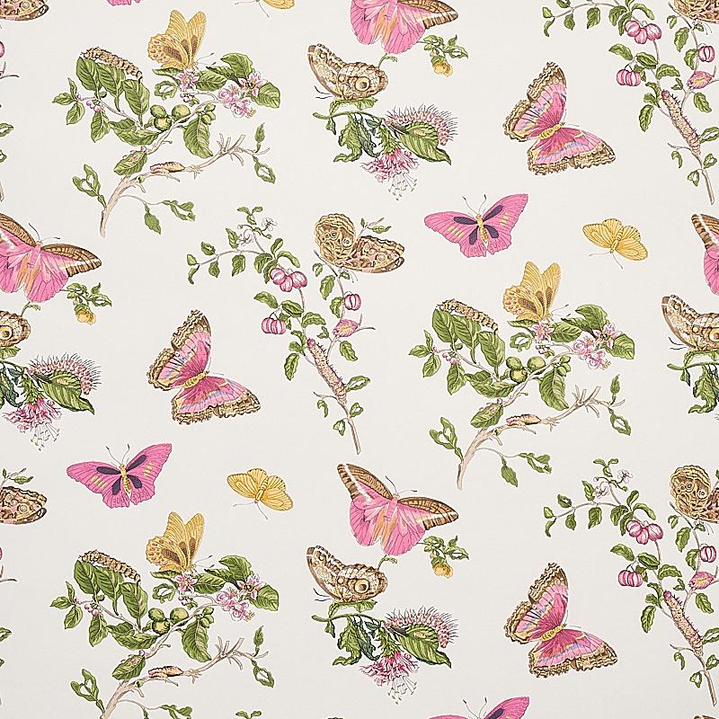 Schumacher Baudin Butterfly Wallpaper