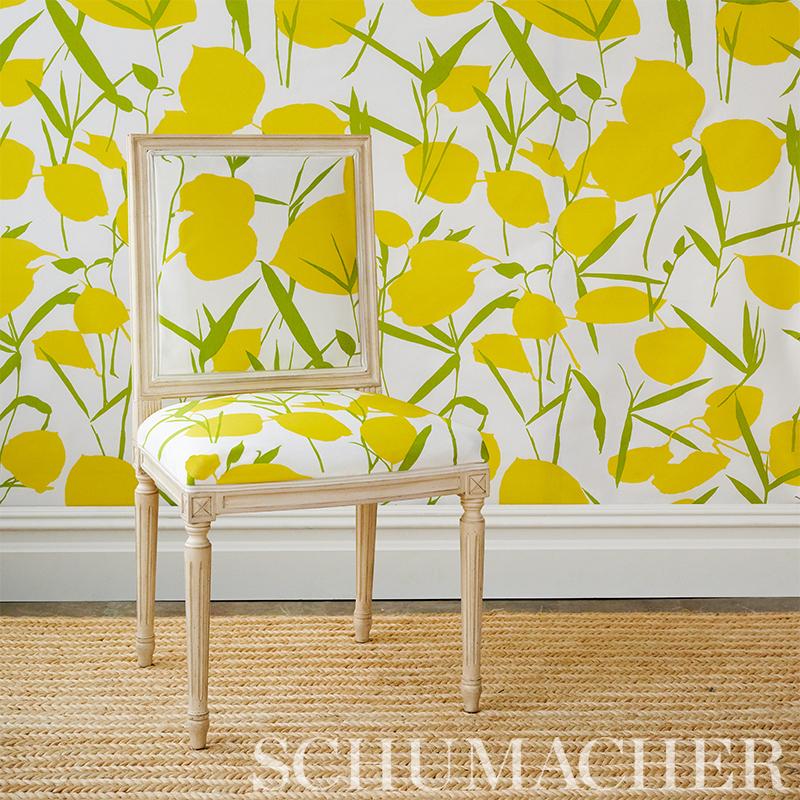 Schumacher Joan Wallpaper