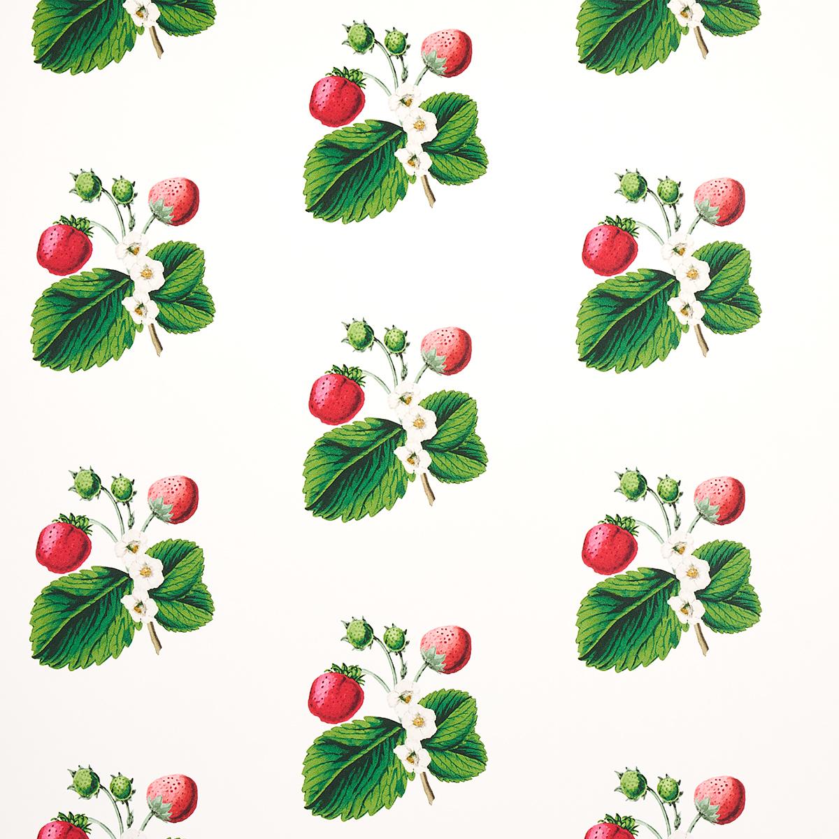 Schumacher Strawberry Hill Wallpaper