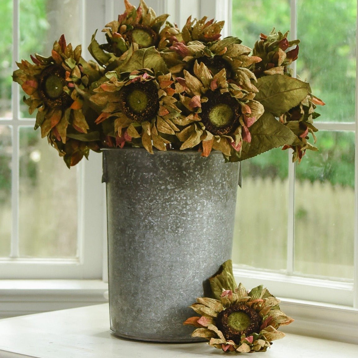 Aged Sunflower Stem - A Cottage in the City