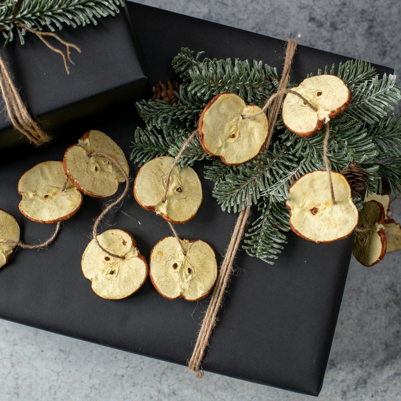 Apple Slice Garland - A Cottage in the City