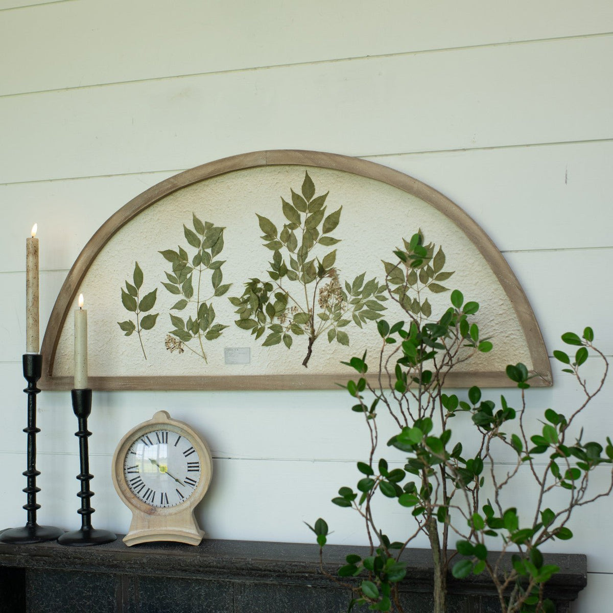 Arched Pressed Botanical Print - A Cottage in the City