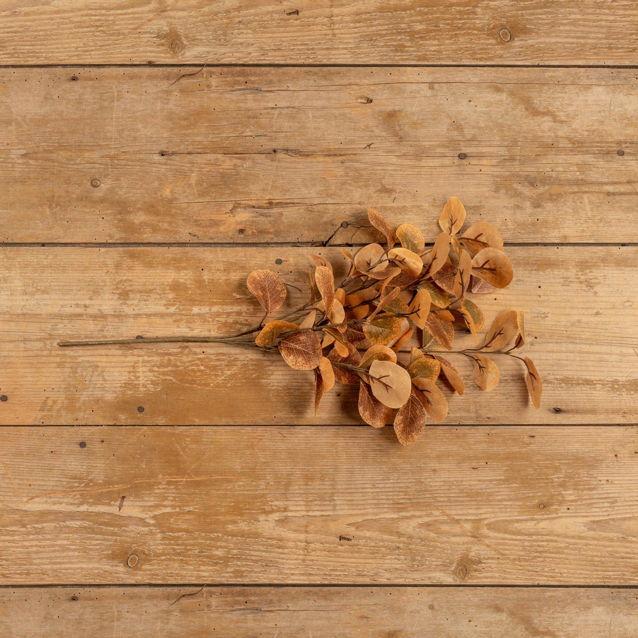 Autumn Laurel Leaf Bush - A Cottage in the City