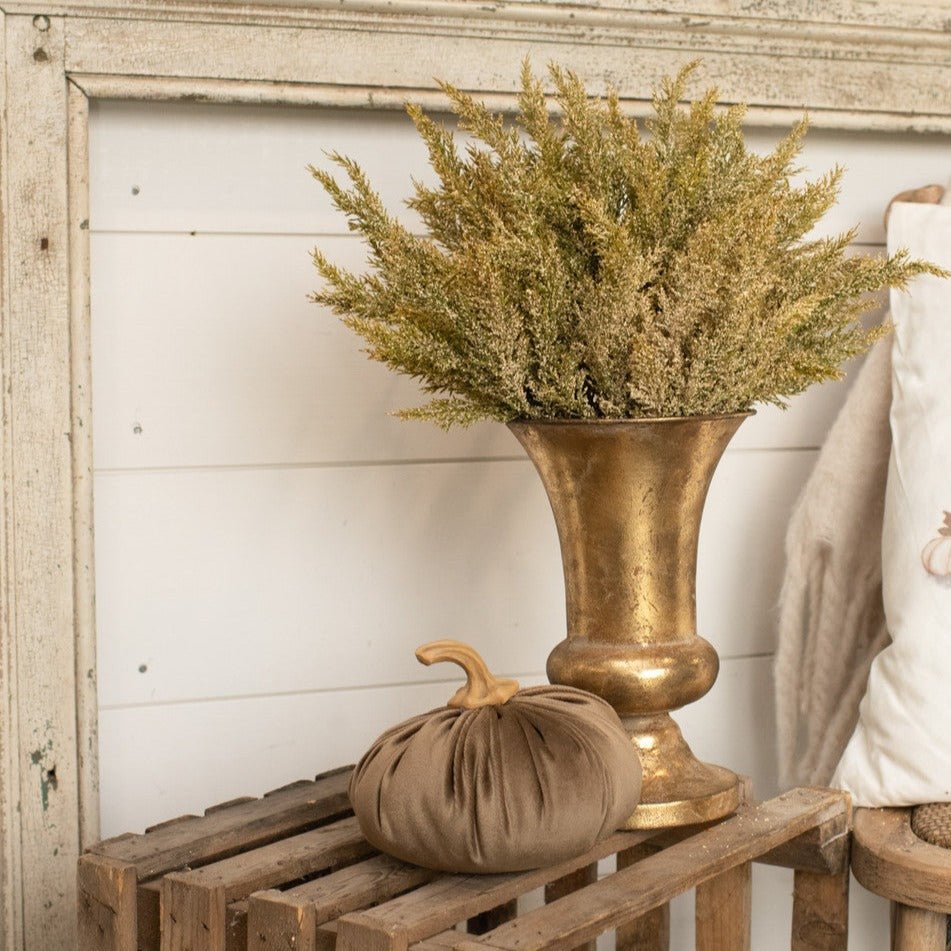 Beige and Green Prickly Pine Bush - A Cottage in the City