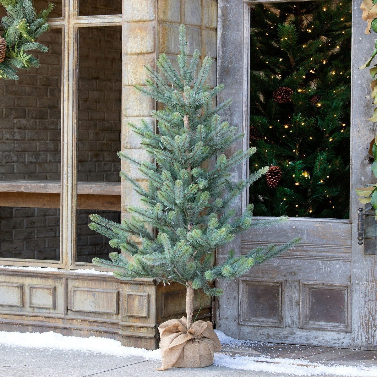 Blue Spruce Seedling With LED Lights & Burlap Base - A Cottage in the City