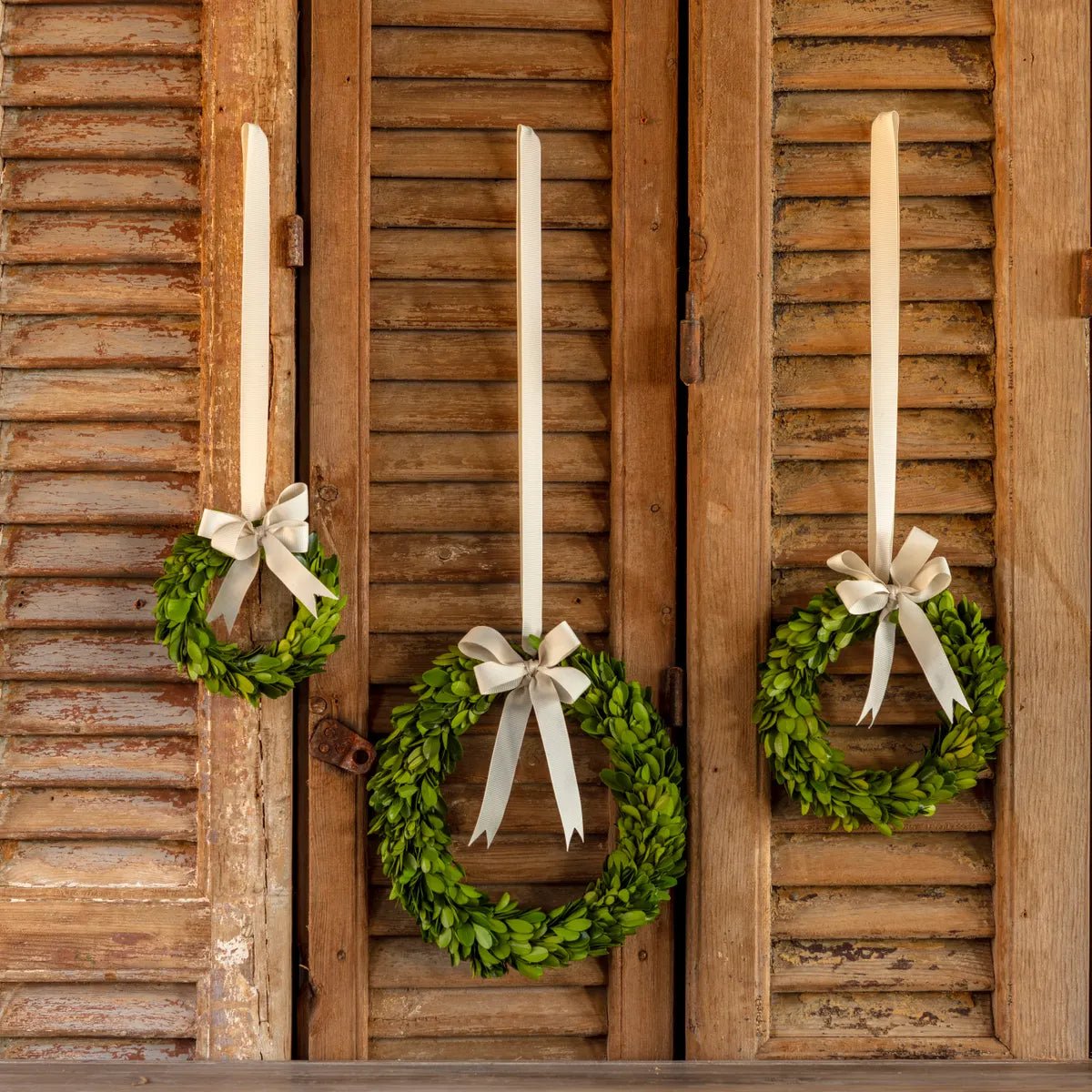 Boxwood Wreaths With Ribbon Set - A Cottage in the City