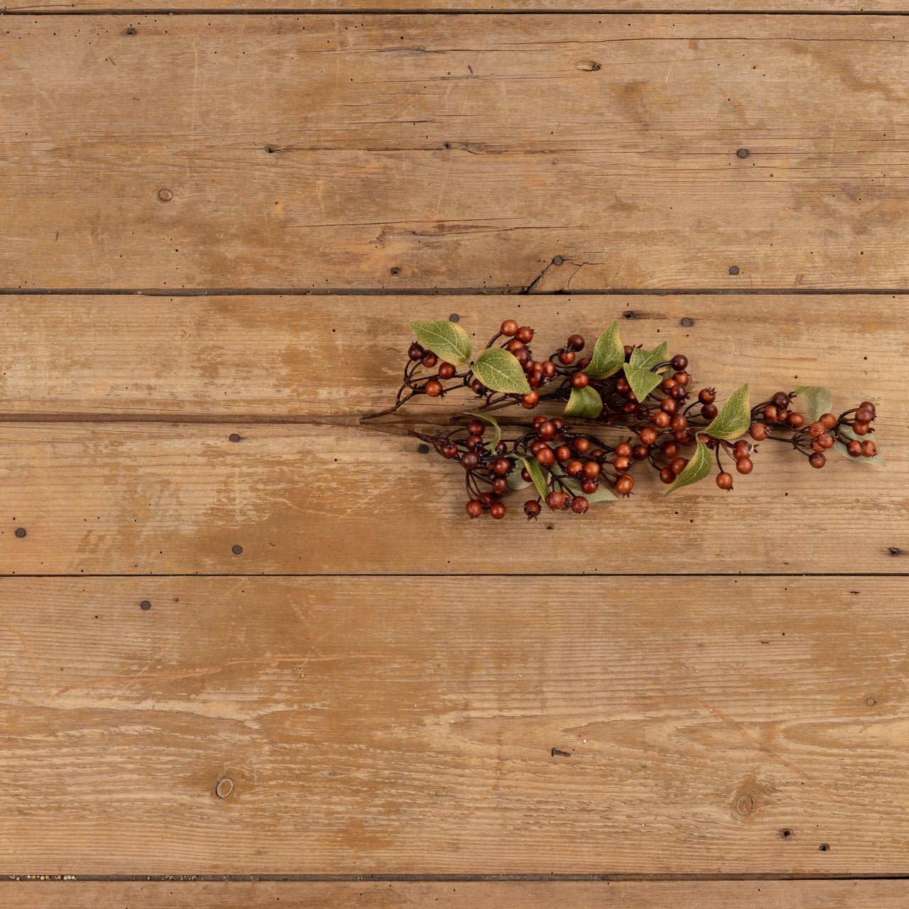 Brown Rose Hip Spray - A Cottage in the City