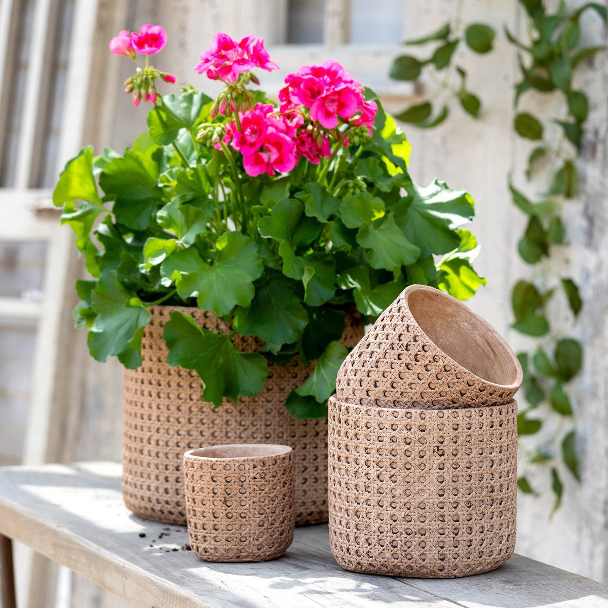 Cane Relief Pattern Cement Pot - A Cottage in the City