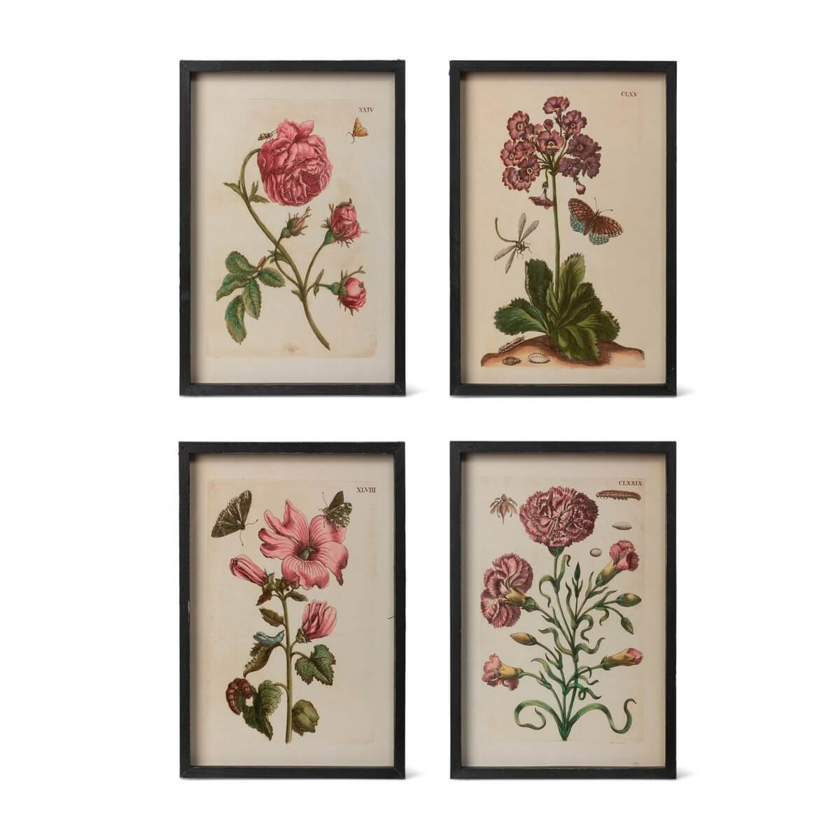 Jardin Boheme Botanical Print Set