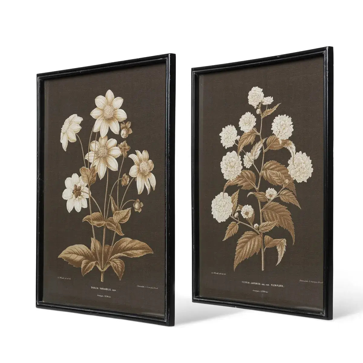 Garden Floral Botanical Framed Print Set