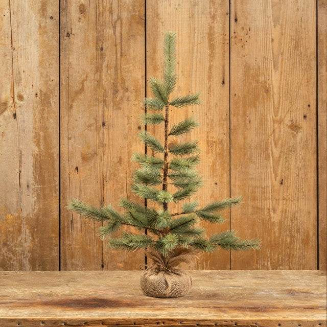 24&quot; Foxtail Pine Tree With Burlap Base