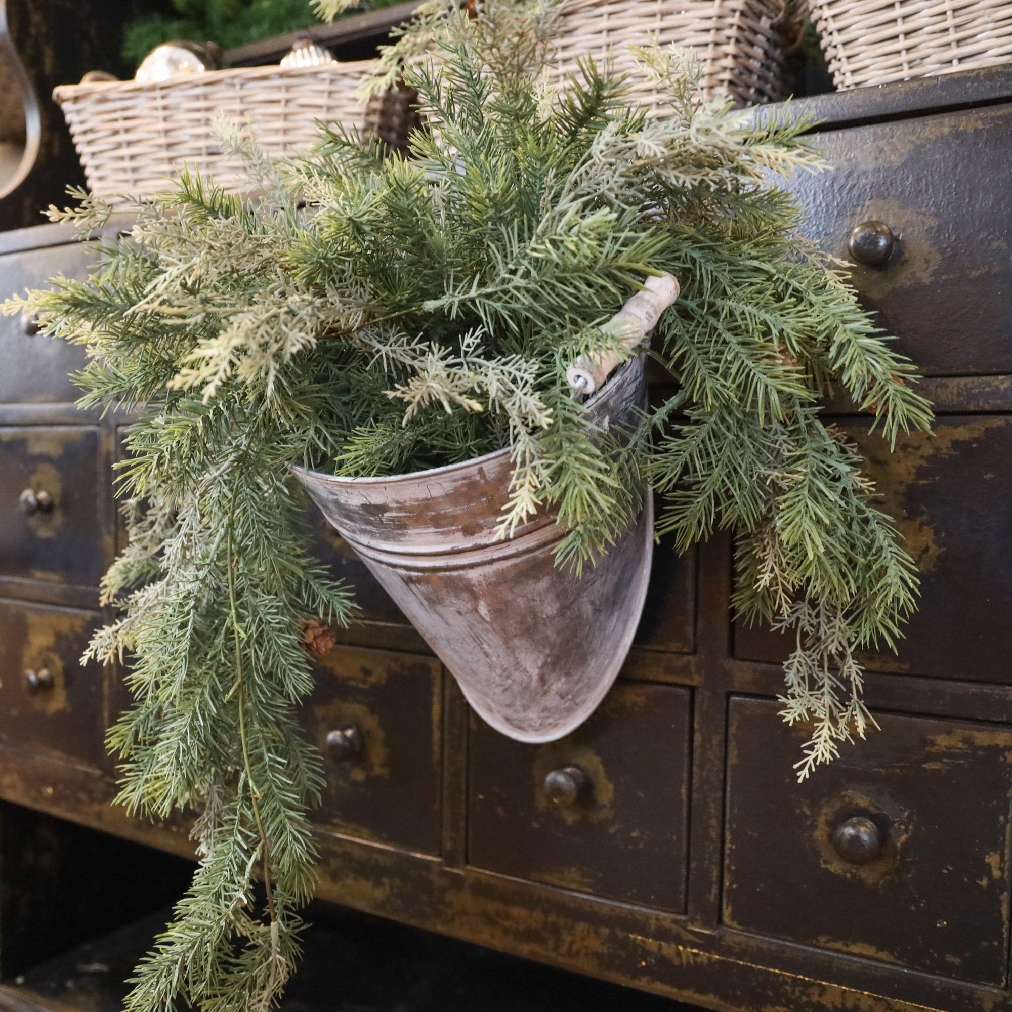 Angel Pine & Cyprus Hanging Bush