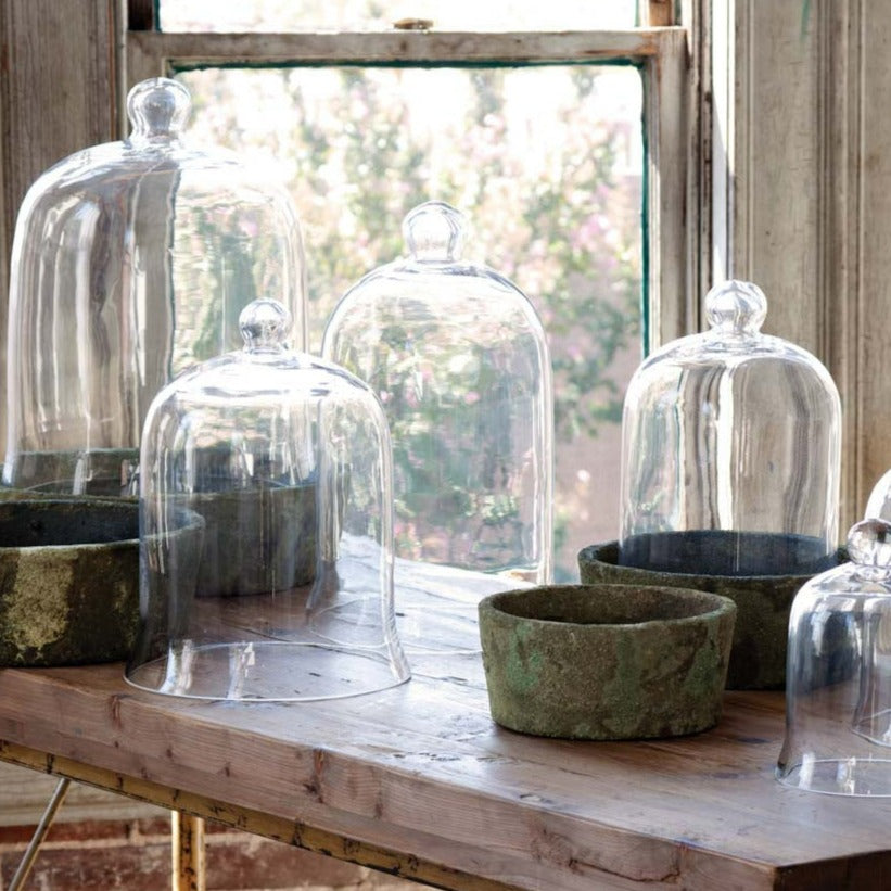 Glass Bell Jar