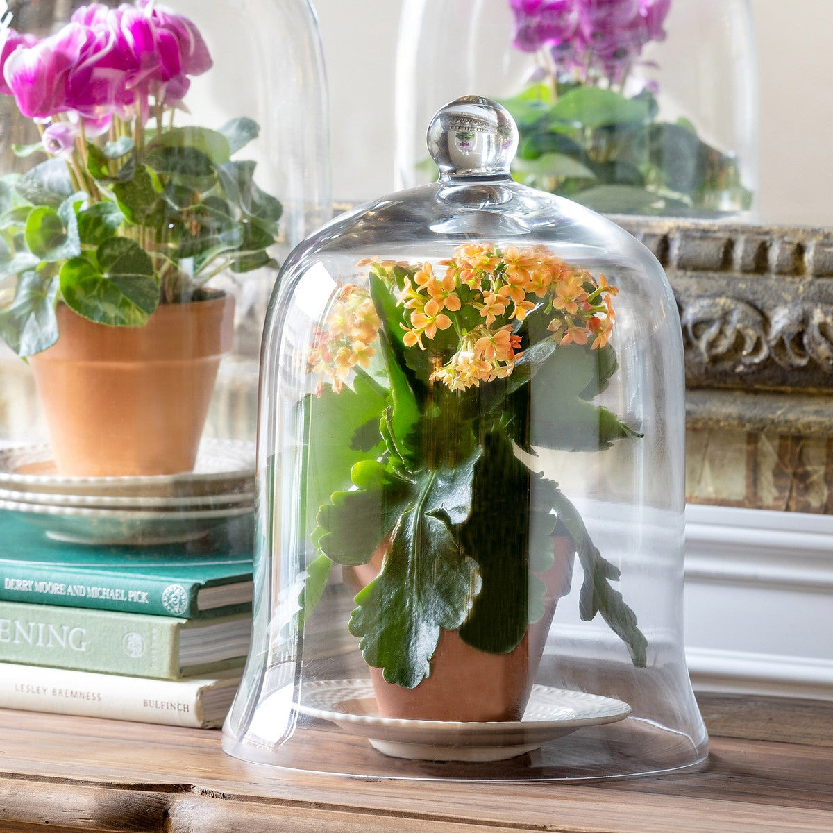 Glass Bell Jar