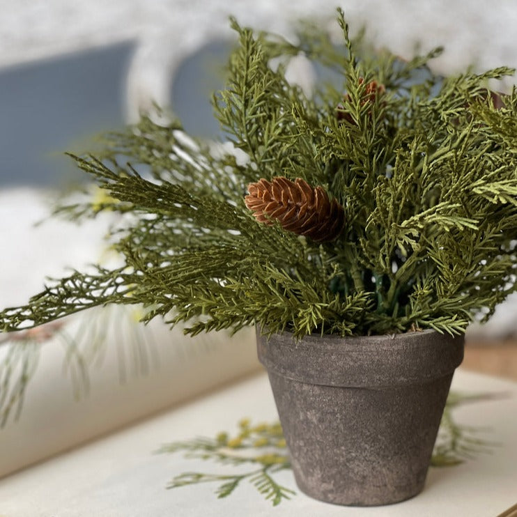 Rustic Pine Stem with Small Pinecones | A Cottage in The City